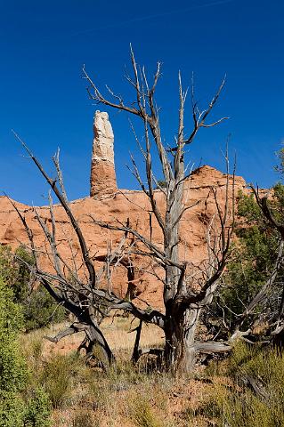 51 kodachrome basin.jpg